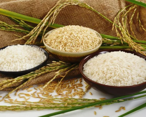 Parboiled & Raw Rice (Long/Medium Grain)
